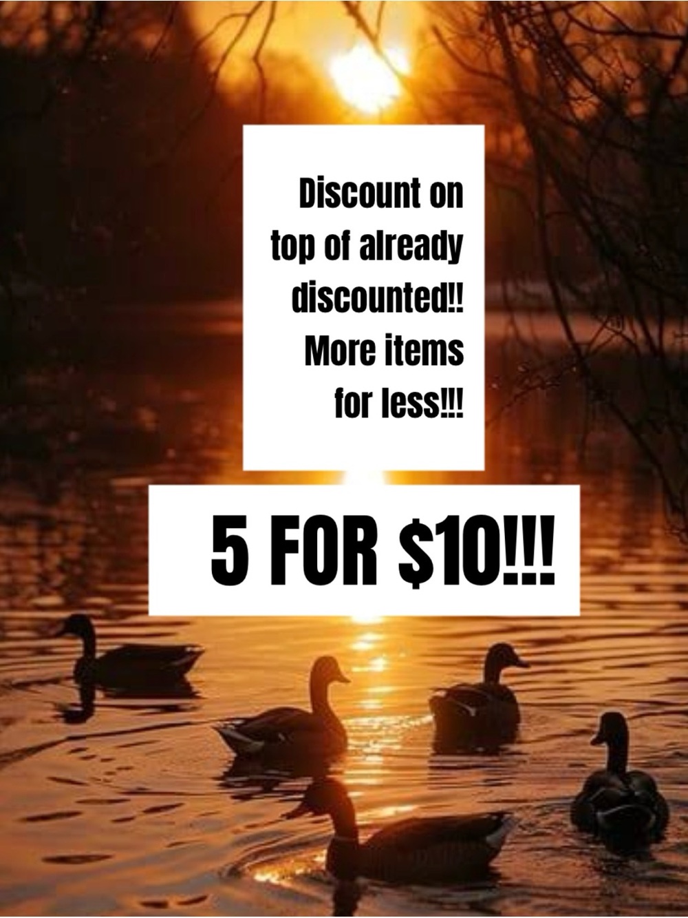 💛🦢5 FOR $10!!! 🦢💛 - Picture 2 of 3